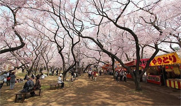 Takato Castle Ruins Park